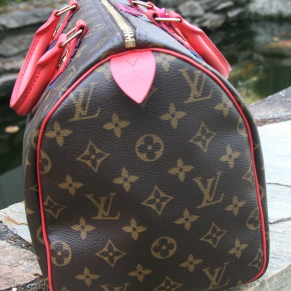 LOUIS VUITTON LIMITED EDITION MONOGRAM CANVAS SPEEDY 30 TOTEM-100% AUTHENTIC - Picture 5 of 16